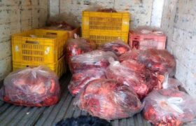 کشف ۶۰۰ کیلوگرم گوشت فاسد در قائم‌شهر
